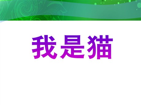 《我是猫》PPT课件
