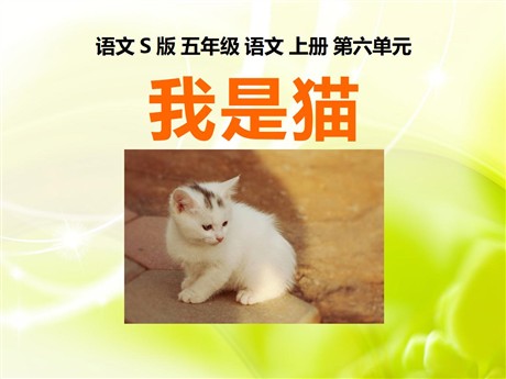 《我是猫》PPT课件4