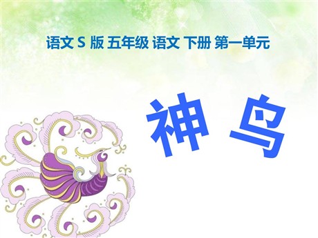 《神鸟》PPT课件3