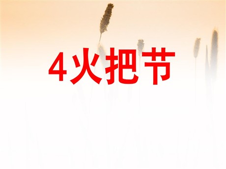 《火把节》PPT课件2