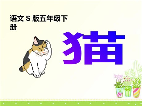 《猫》PPT课件8