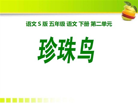《珍珠鸟》PPT课件17