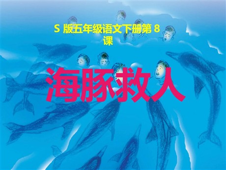 《海豚救人》PPT课件