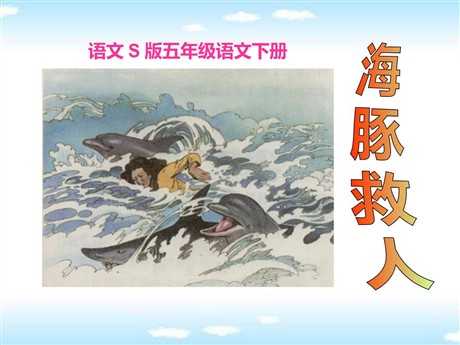 《海豚救人》PPT课件2
