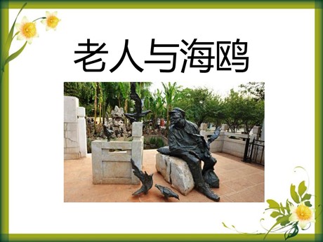 《老人与海鸥》PPT课件9