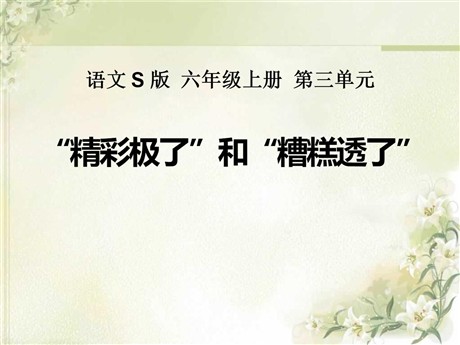 《“精彩极了”和“糟糕透了”》PPT课件7