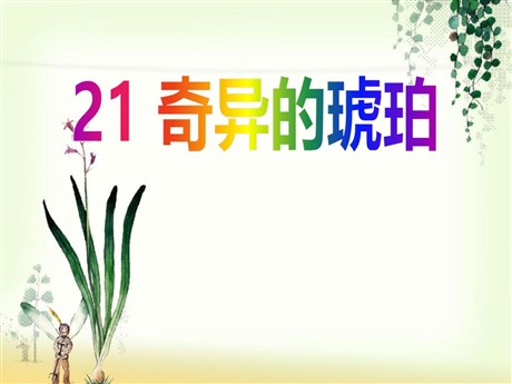 《奇异的琥珀》PPT课件3