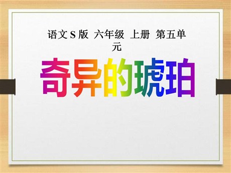 《奇异的琥珀》PPT课件4