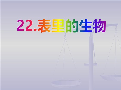 《表里的生物》PPT课件