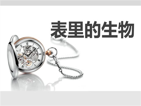 《表里的生物》PPT课件2