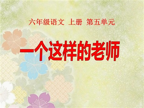 《一个这样的老师》PPT课件5