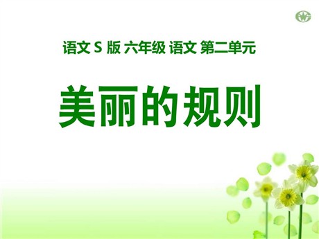 《美丽的规则》PPT课件