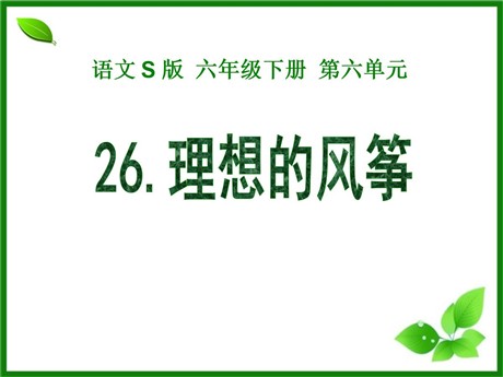 《理想的风筝》PPT课件6