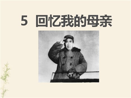 《回忆我的母亲》PPT课件