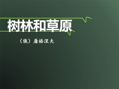《树林和草原》PPT课件
