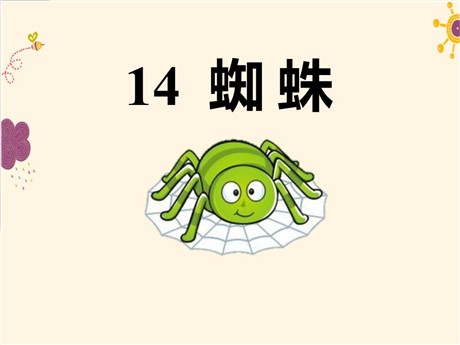 《蜘蛛》PPT课件