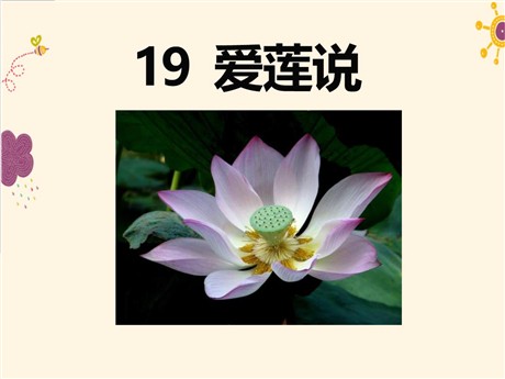 《爱莲说》PPT课件8