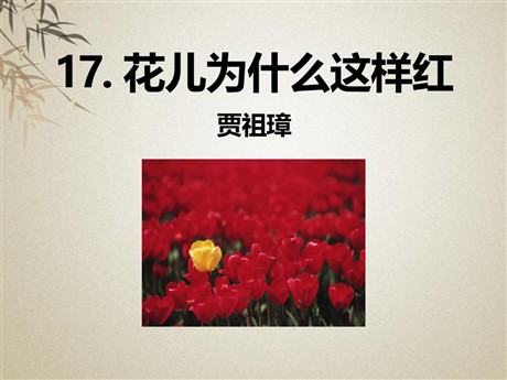 《花儿为什么这样红》PPT课件9
