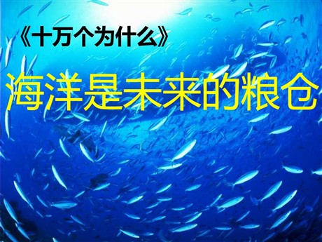 《海洋是未来的粮仓》PPT课件2