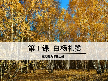 《白杨礼赞》PPT课件10