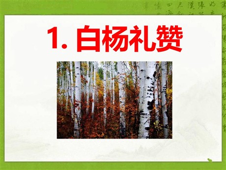 《白杨礼赞》PPT课件11