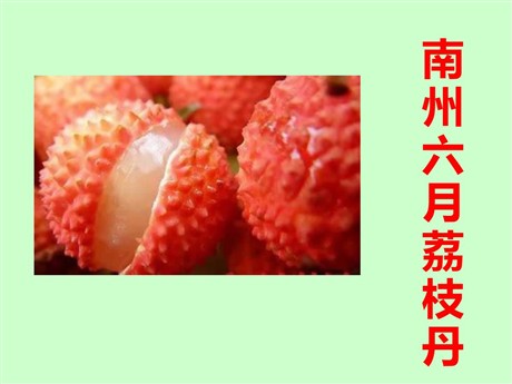 《南州六月荔枝丹》PPT课件2