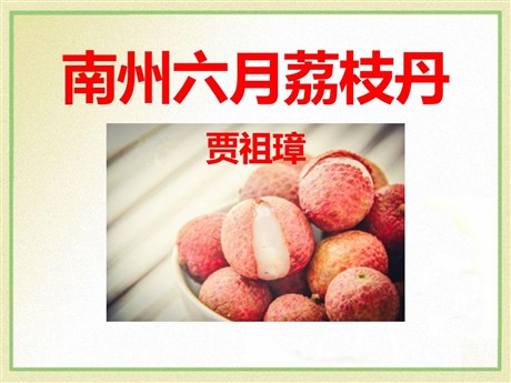《南州六月荔枝丹》PPT课件3