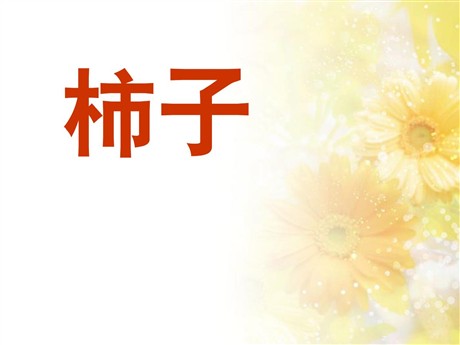 《柿子》PPT课件2