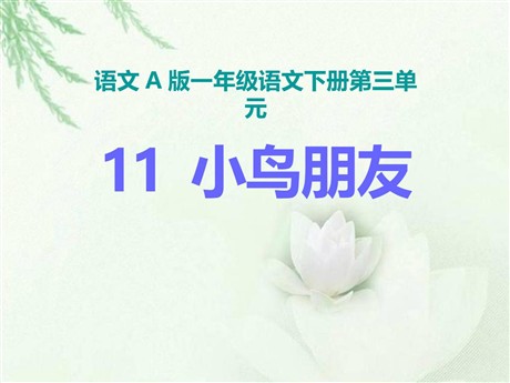 《小鸟朋友》PPT课件2