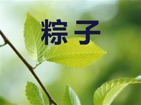 《粽子》PPT课件