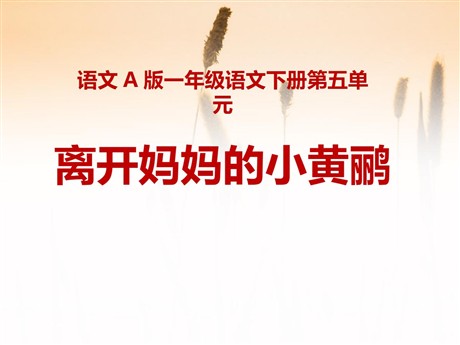 《离开妈妈的小黄鹂》PPT课件