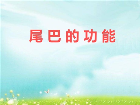 《尾巴的功能》PPT课件