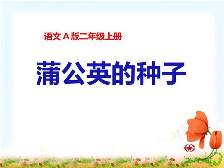 《蒲公英的种子》PPT课件2