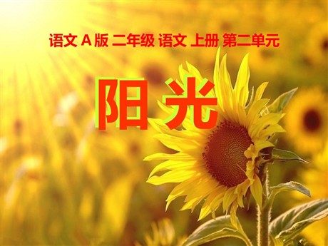 《阳光》PPT课件12