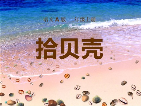 《拾贝壳》PPT课件2