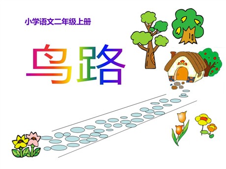 《鸟路》PPT课件