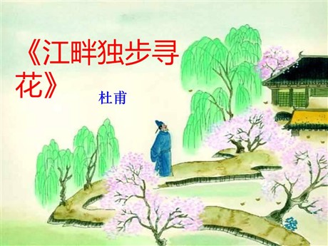 《江畔独步寻花》PPT课件9