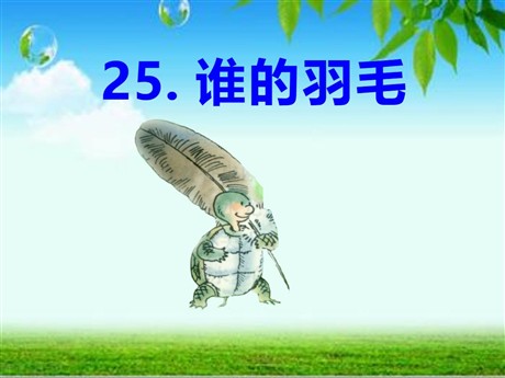 《谁的羽毛》PPT课件2