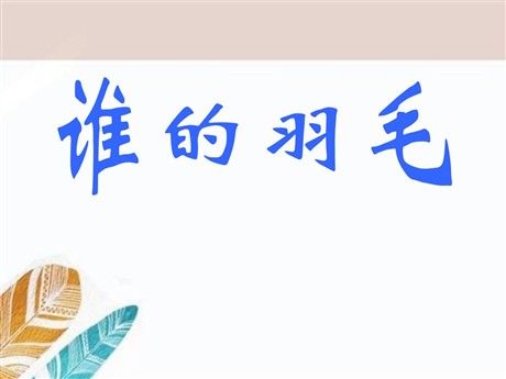 《谁的羽毛》PPT课件3