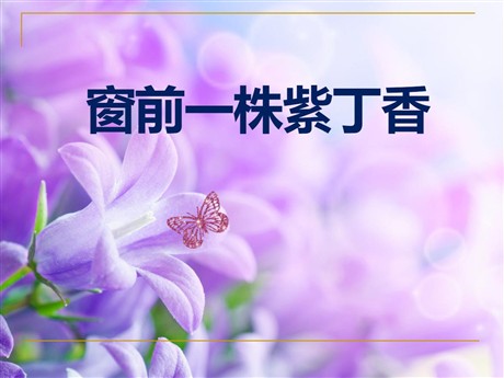 《窗前一株紫丁香》PPT课件3