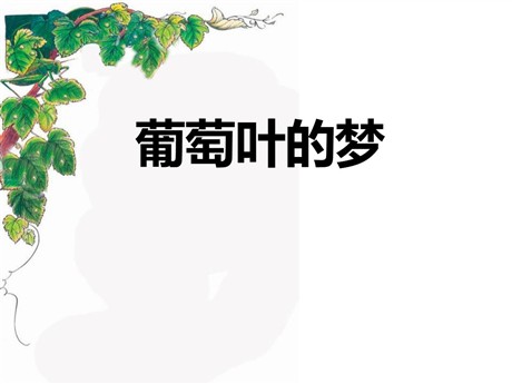 《葡萄叶的梦》PPT课件2