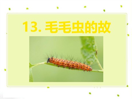 《毛毛虫的故事》PPT课件2