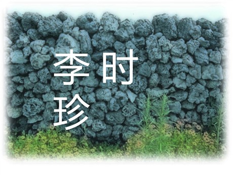 《李时珍》PPT课件2