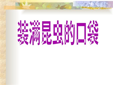 《装满昆虫的口袋》PPT课件