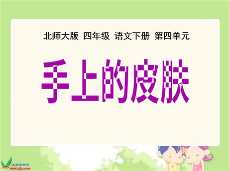 《手上的皮肤》PPT课件