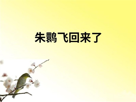 《朱鹮飞回来了》PPT课件