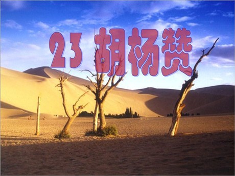 《胡杨赞》PPT课件3