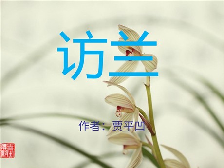 《访兰》PPT课件3