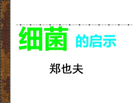 《细菌的启示》PPT课件3