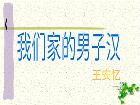 《我们家的男子汉》PPT课件